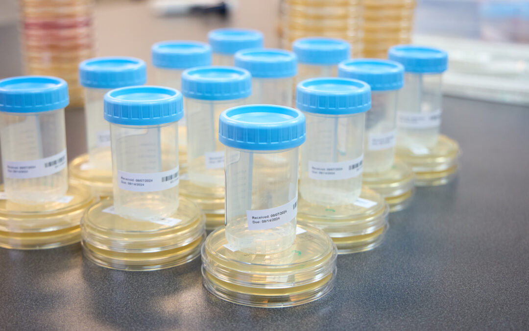 PDA Laboratories Expands Analytical Testing Capabilities